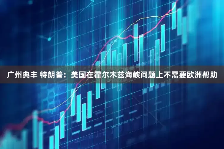 广州典丰 特朗普：美国在霍尔木兹海峡问题上不需要欧洲帮助